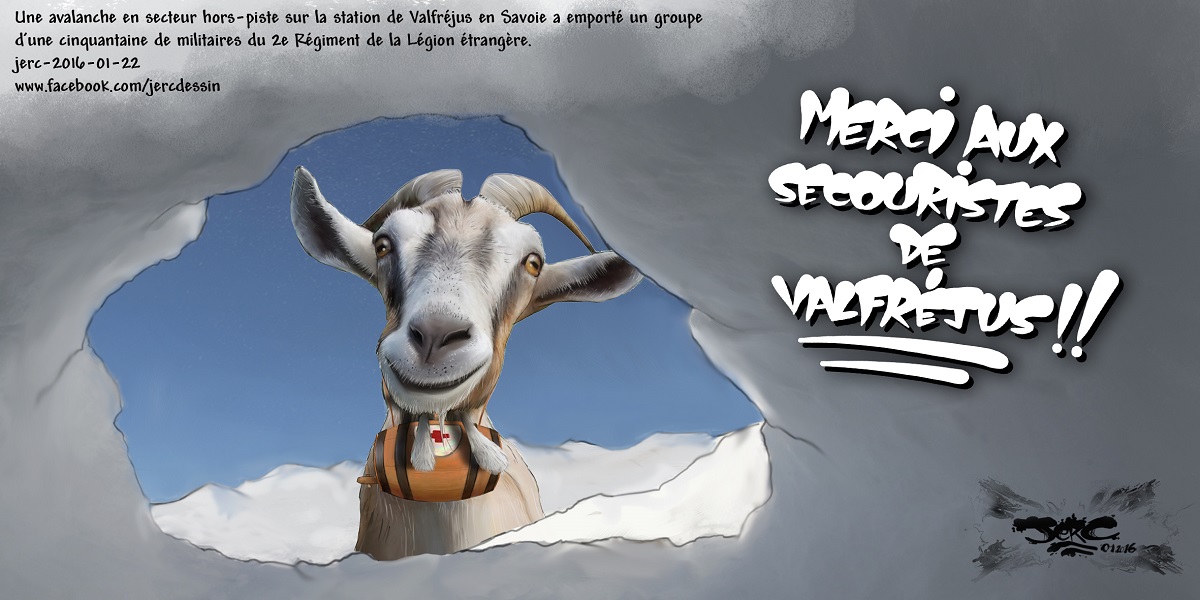 Une chèvre secouriste après la catastrophique avalanche de Valfréjus