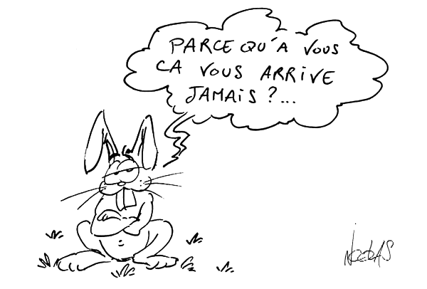 Un lapin offusqué par cette blague