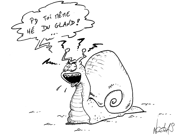Un escargot scandalisé par la blague sur sa sexualité