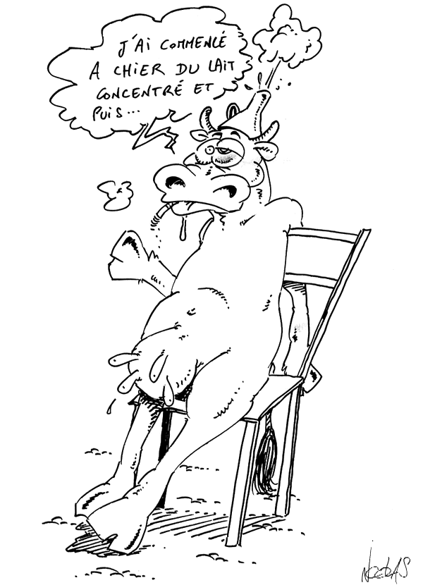 Une vache folle sur une chaise