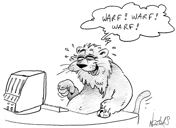 Un lion se marre devant un ordinateur