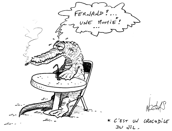 Un crocodile assis à la terrasse d'un café