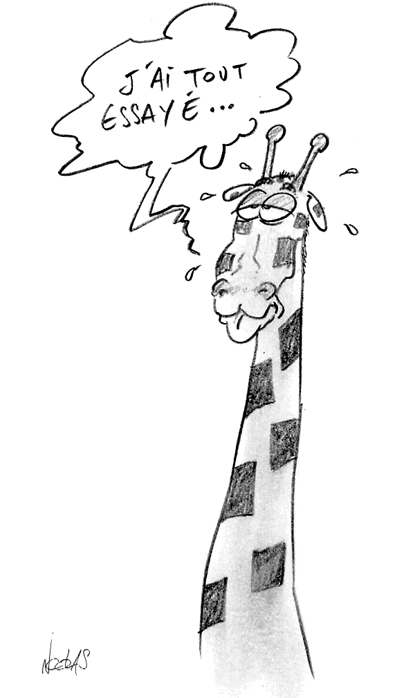 Une girafe au long cou