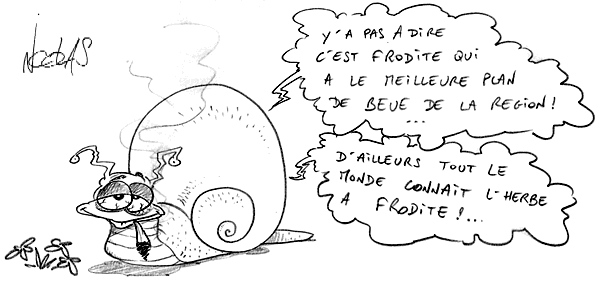 Un escargot qui fume un joint