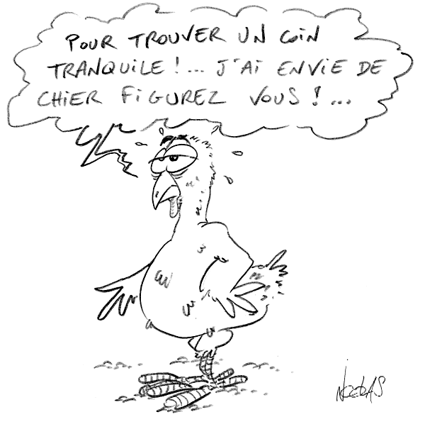 Dessin d'une poule qui explique pourquoi elle traverse la route