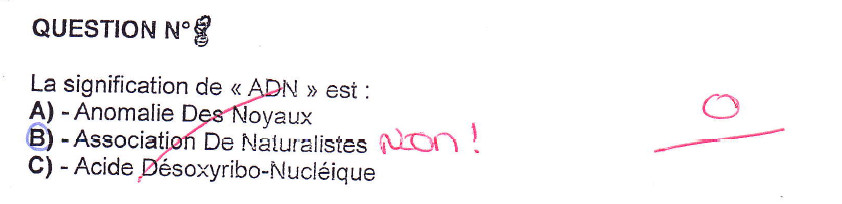 copie d'élève qui explique l'ADN est en fait une Association De Naturiste