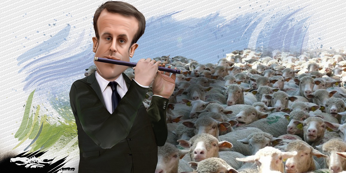 dessin drôle d'Emmanuel Macron en train de jouer de la flûte devant un troupeau de moutons