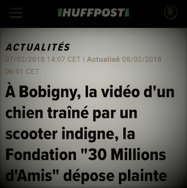 copie d'écran d'actualité parlant du chien traîné par un scooter à Bobigny