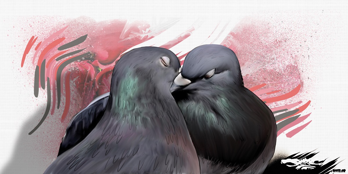 dessin drôle de deux pigeons qui s'embrassent pour la Saint-Valentin