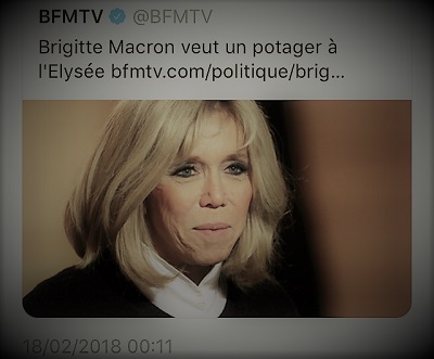 copie d'écran d'actualité parlant du potager que veut Brigitte Macron à l'Elysée
