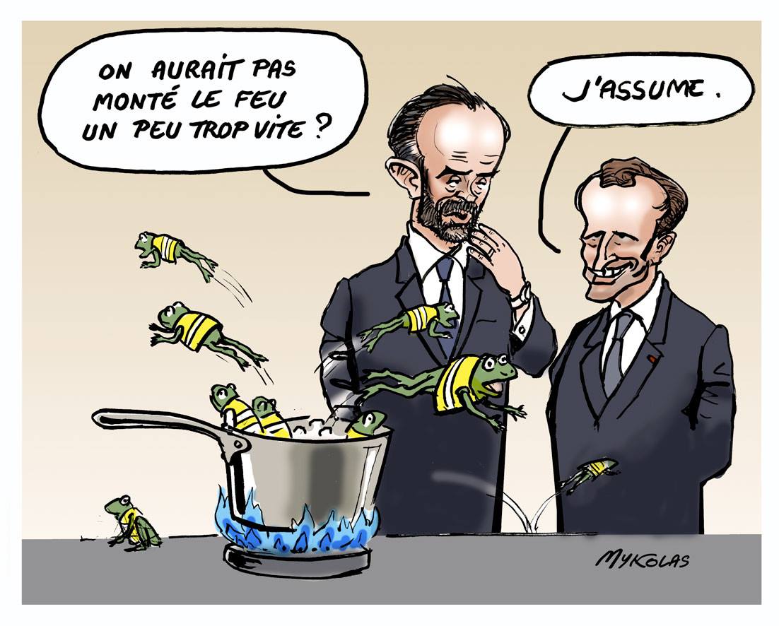 dessin de grenouilles – Blagues et Dessins