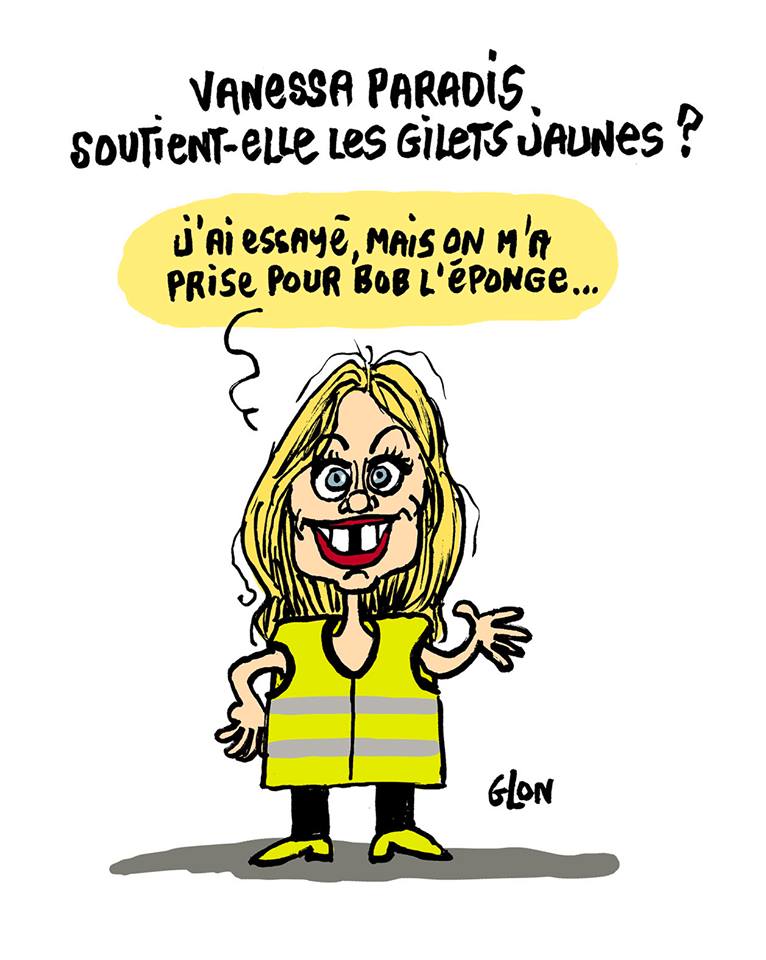 Résultat de recherche d'images pour "gilet jaune humour"