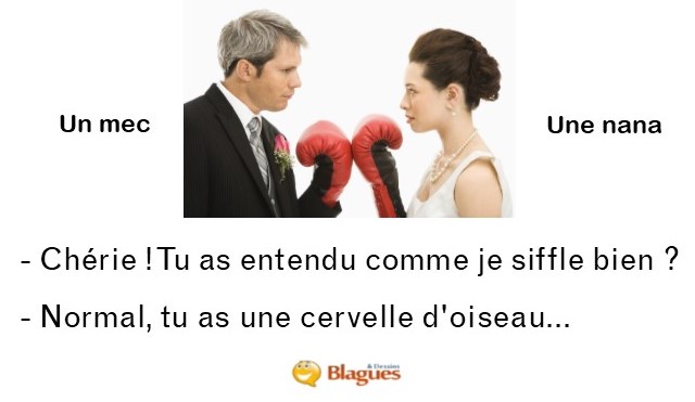 blague illustrée sur la vie de couple entre un mec et une nana