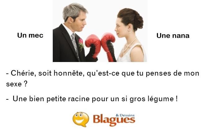 blague illustrée sur la vie de couple entre un mec et une nana