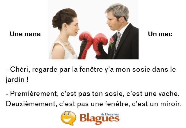 blague illustrée sur la vie de couple entre un mec et une nana