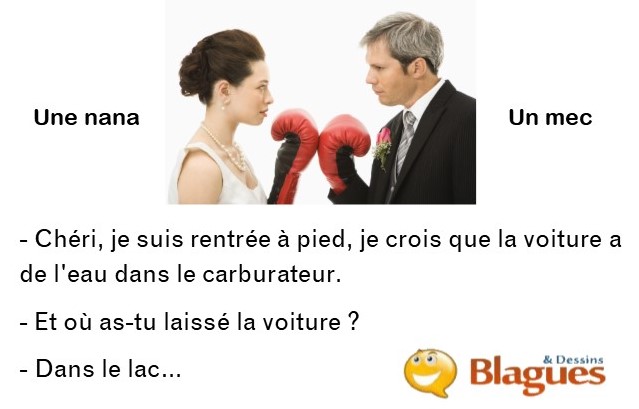 blague illustrée sur la vie de couple entre un mec et une nana