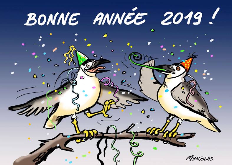 Bonne Année Blagues Et Dessins