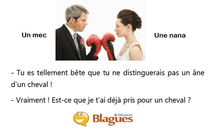 blague illustrée sur la vie de couple et la drague entre un mec et une nana