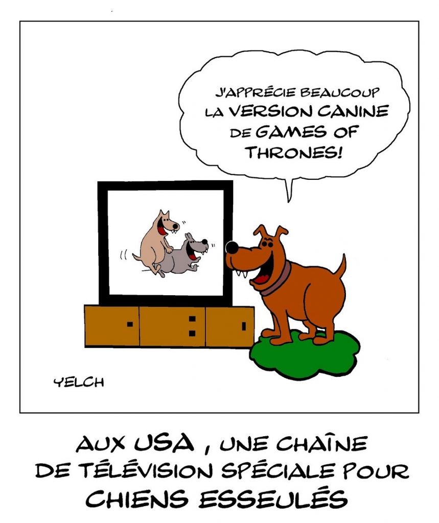 dessin de Yelch sur la création aux États-Unis d’une chaîne de télé pour les chiens solitaires