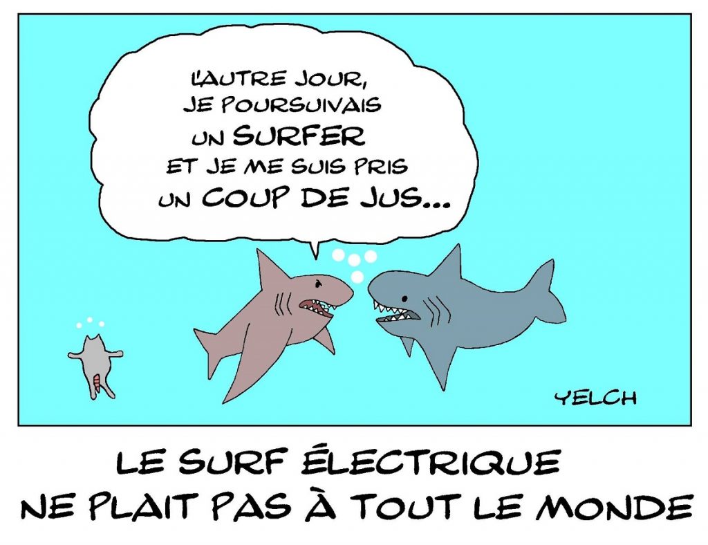 dessin de Yelch sur le surf électrique et les requins