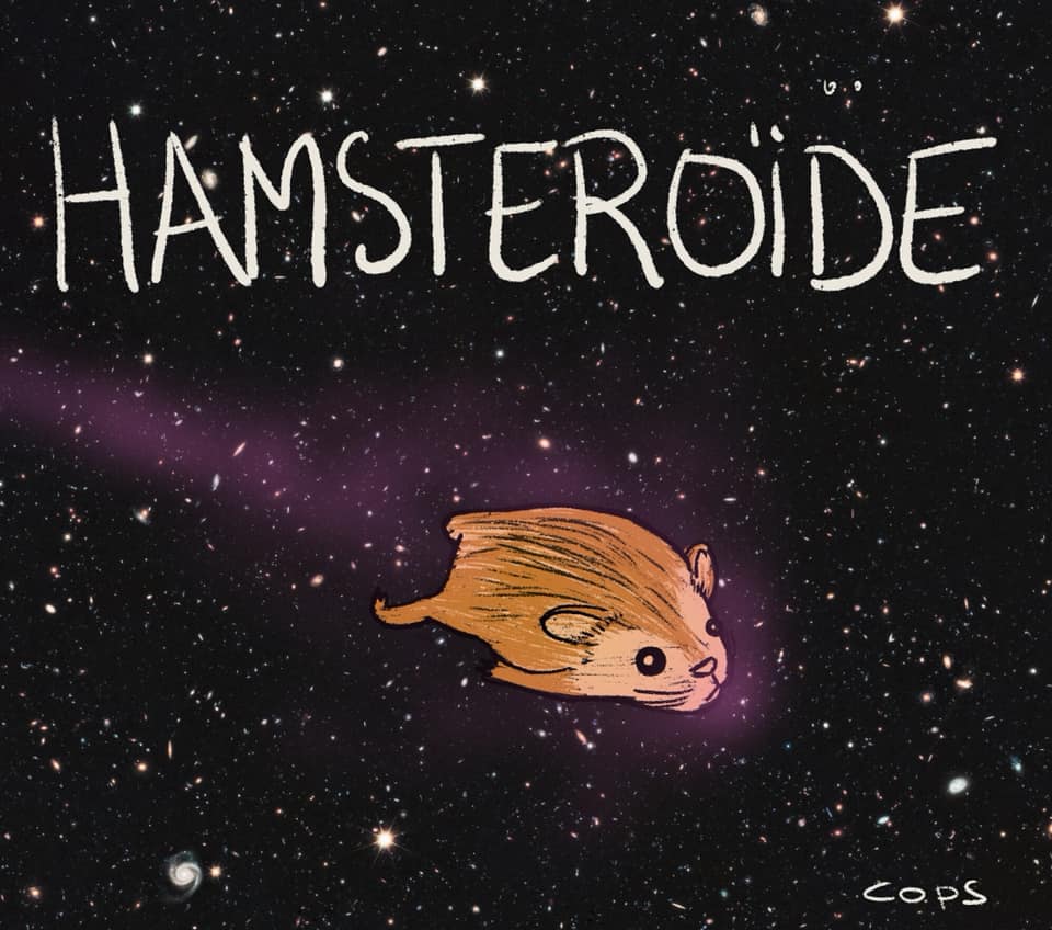 Topic univers spacial  - Page 20 Hamsteroide