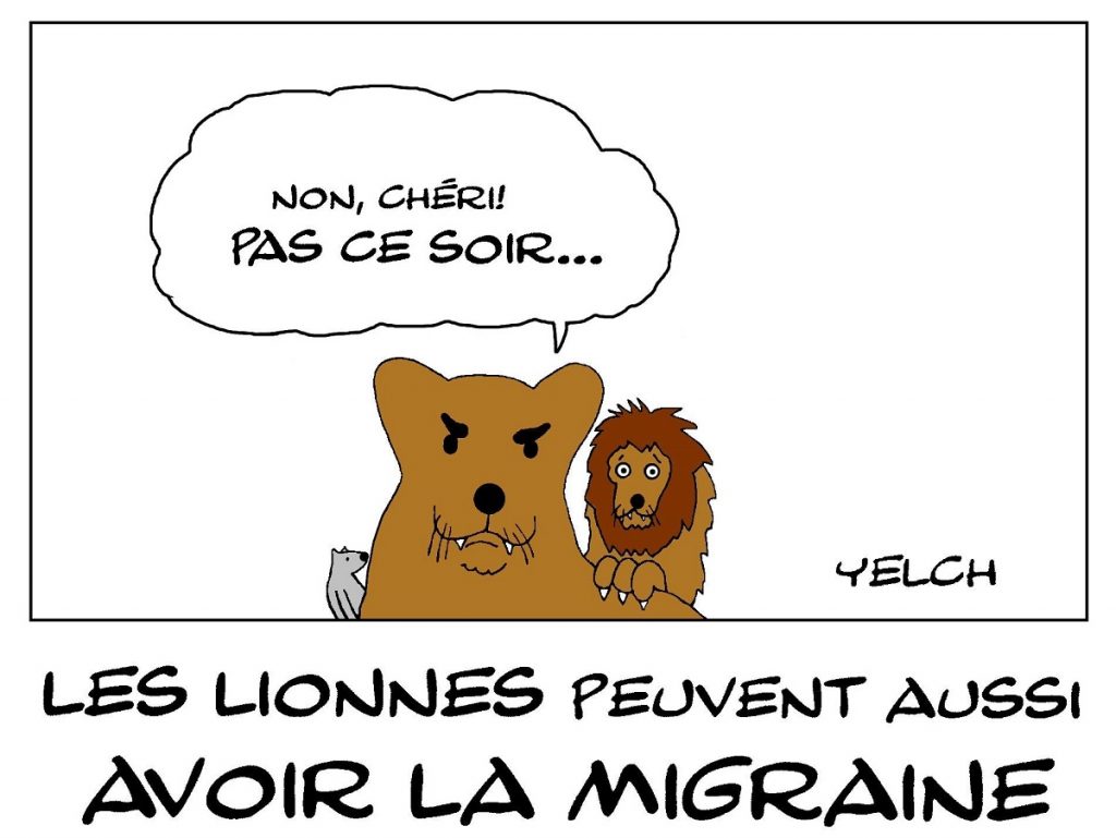 dessin de Yelch sur la migraine des lionnes