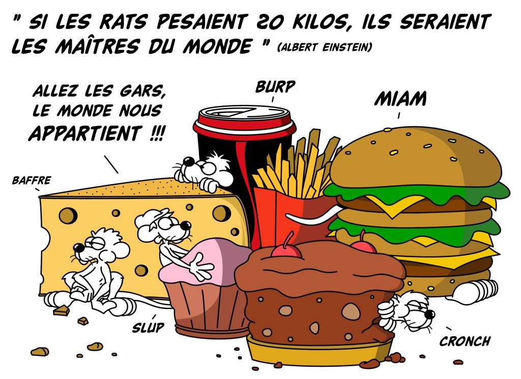 dessin d’actualité humoristique sur la citation d’Albert Einstein sur les rats maîtres du monde