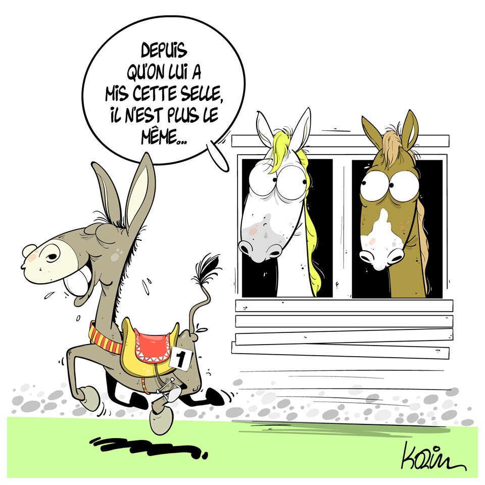 dessin d’actualité humoristique sur les ânes et les chevaux de courses
