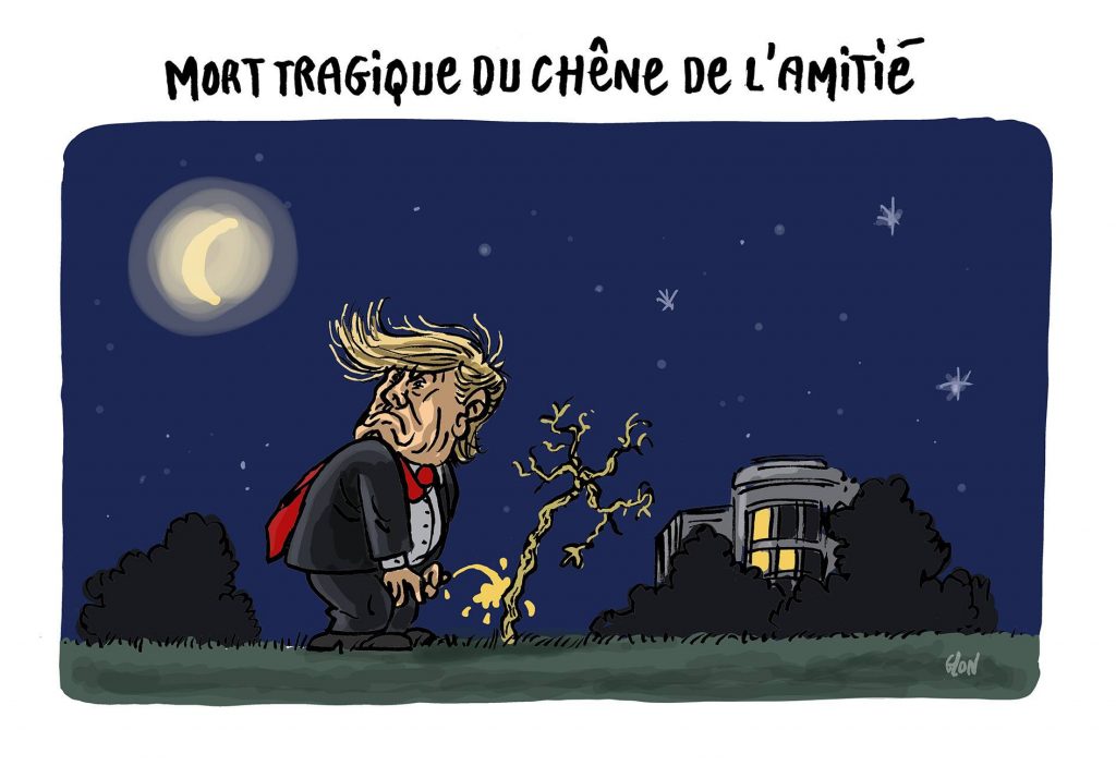 dessin d’actualité humoristique sur la mort du chêne de l’amitié franco-américaine