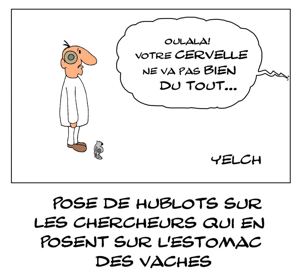 dessin de Yelch sur le scandale des vaches à hublots