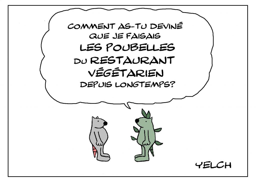 dessin de Yelch sur les rats végétariens