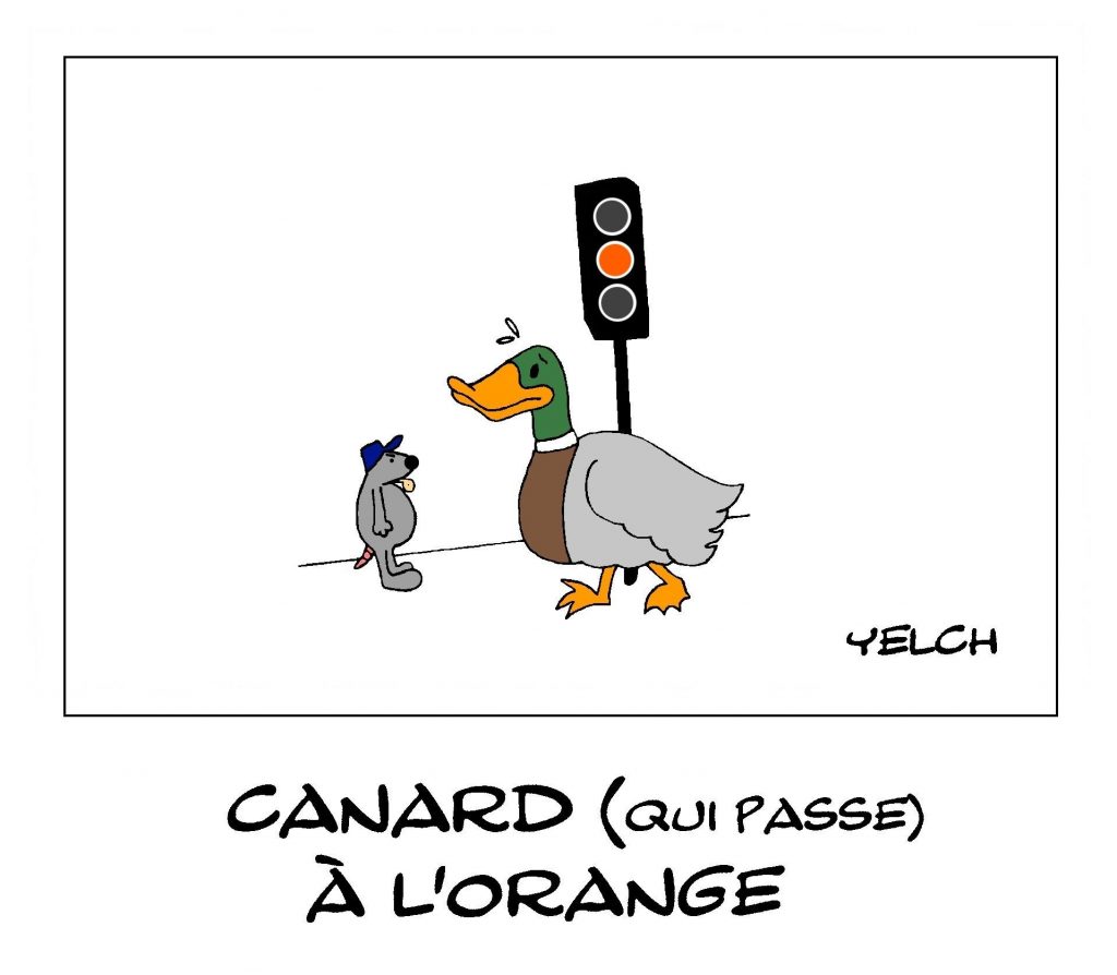 dessin de Yelch sur les canards qui passent à l’orange