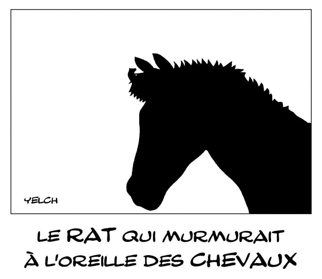 dessin de Yelch sur L'Homme qui murmurait à l'oreille des chevaux