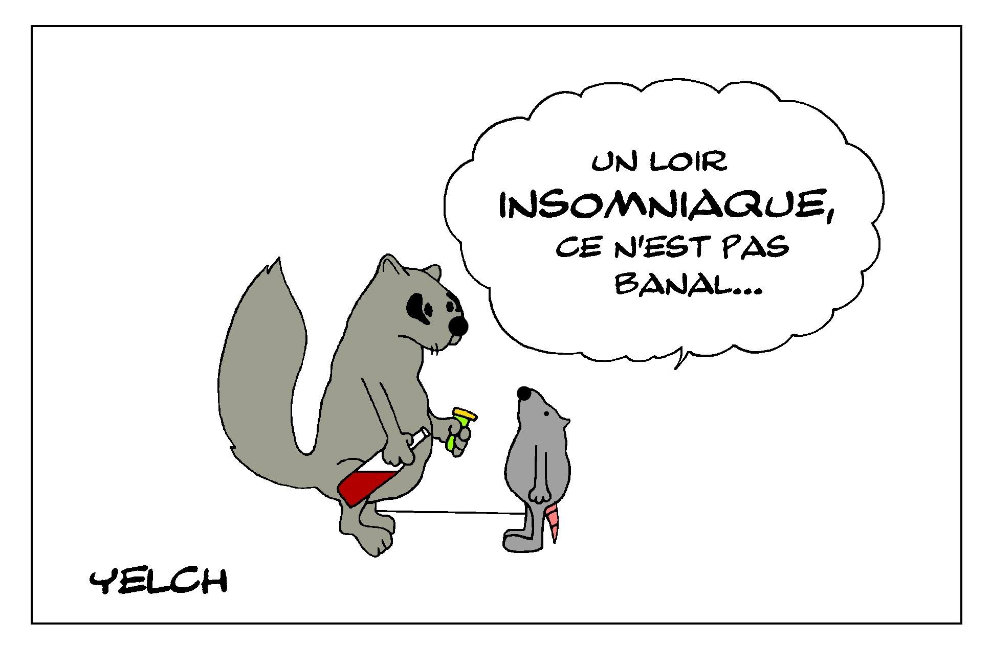 Blague Sur Les Insomniaques Blagues Et Dessins