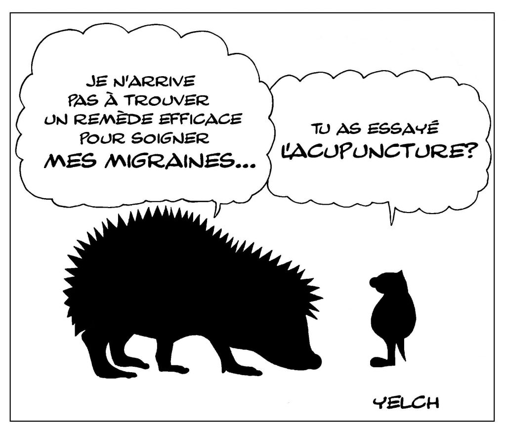 dessin de Yelch sur les hérissons et l’acupuncture