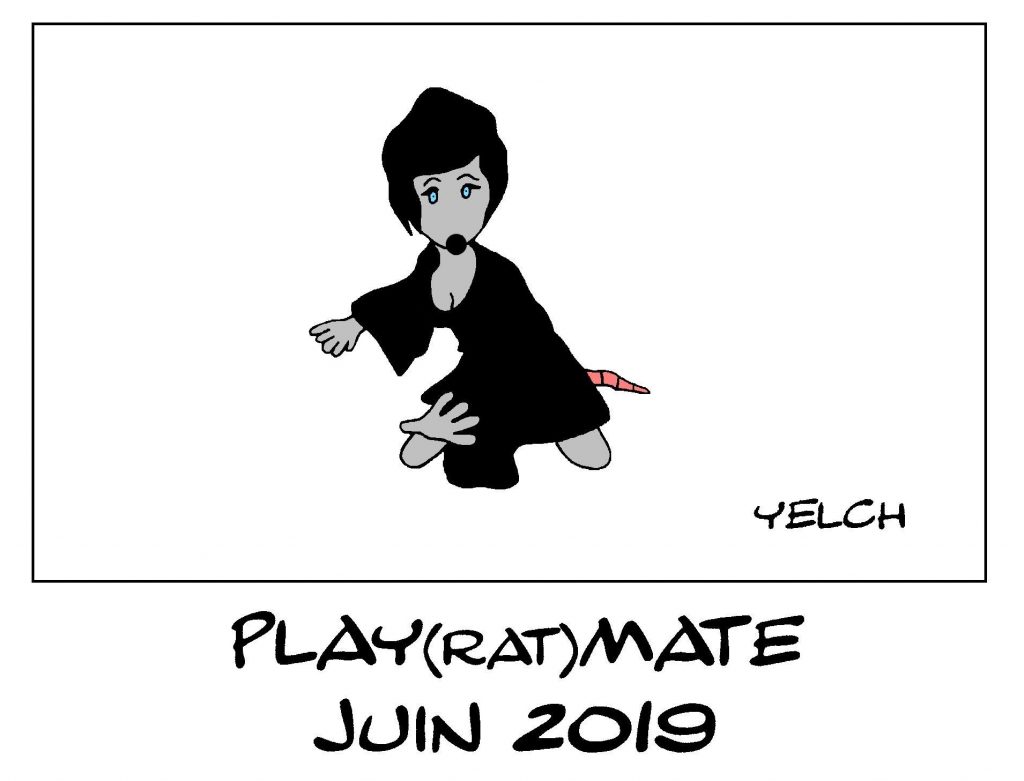 dessin de Yelch sur la playmate du mois