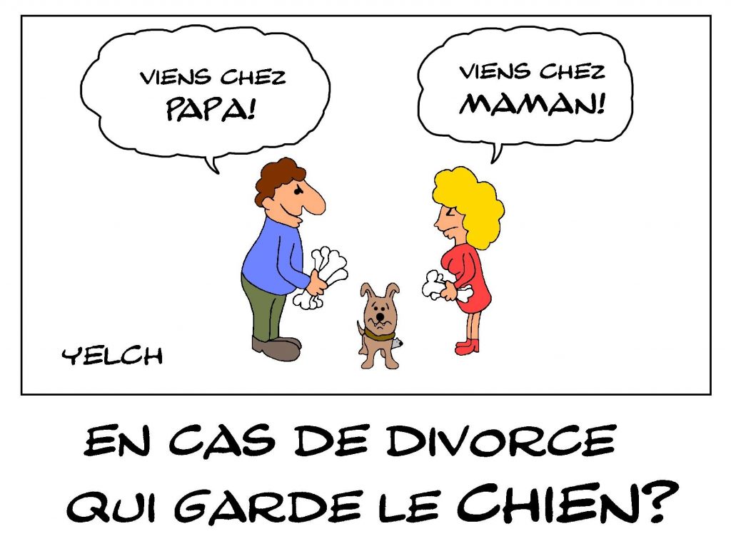 dessin de Yelch sur la garde du chien en cas de divorce