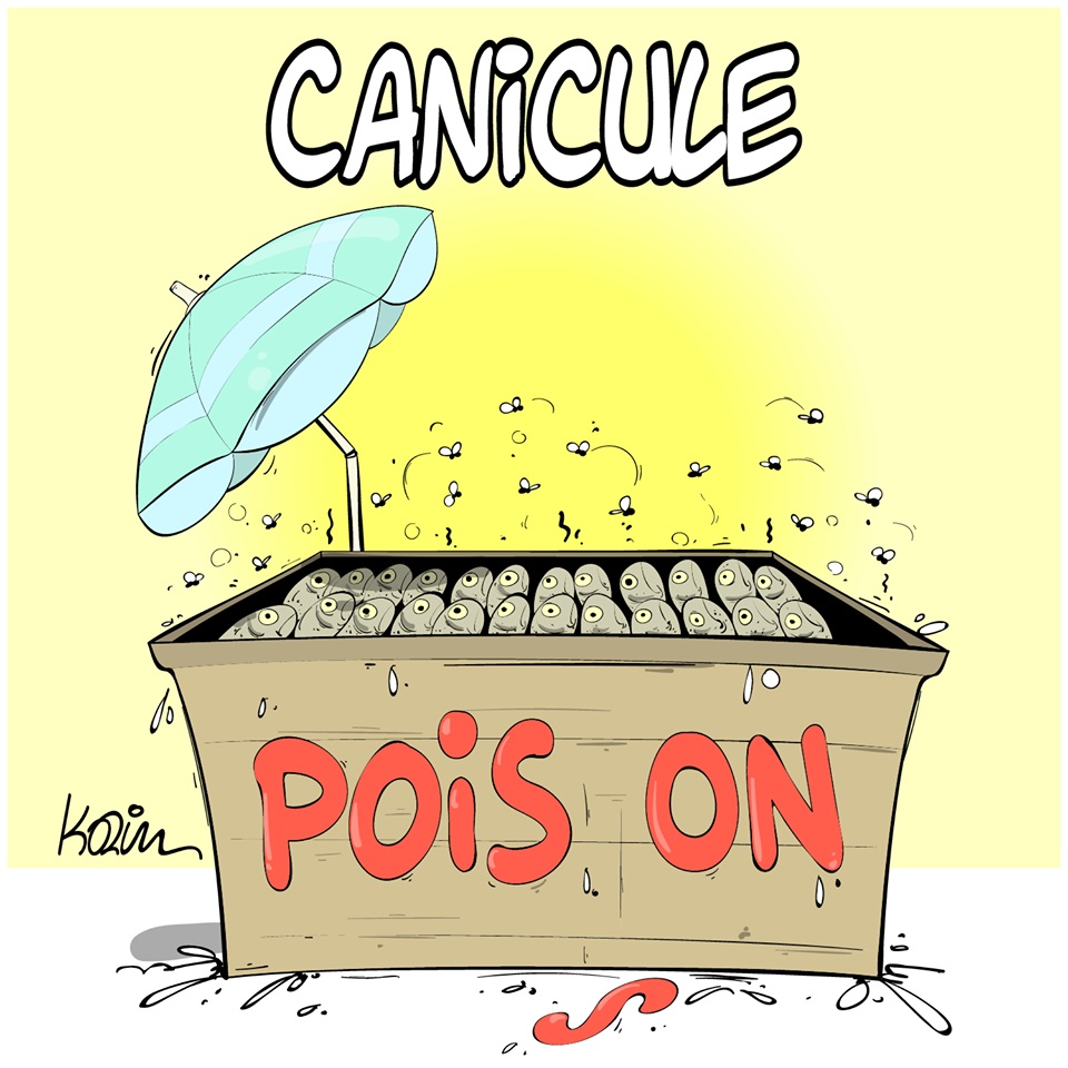 dessin d’actualité humoristique sur la canicule et ses dangers