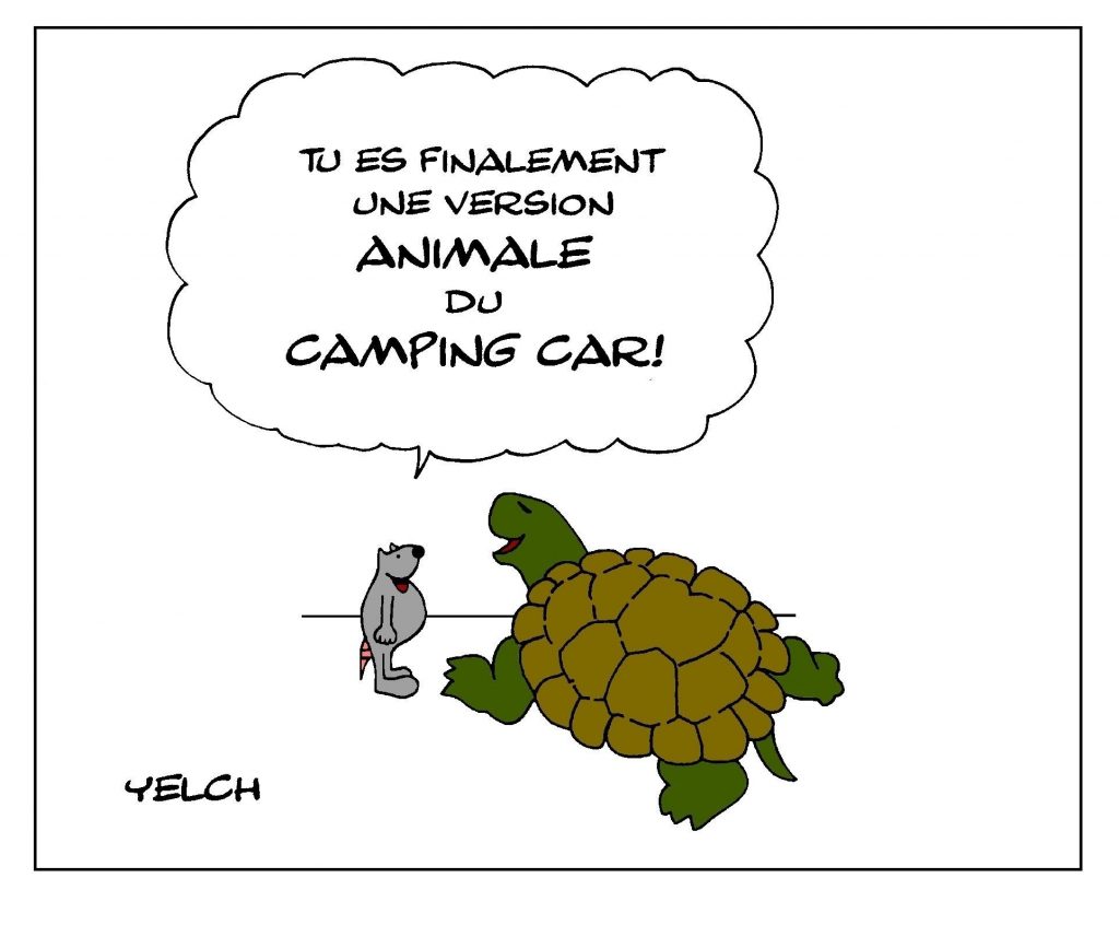 dessin de Yelch sur les tortues et les camping-car