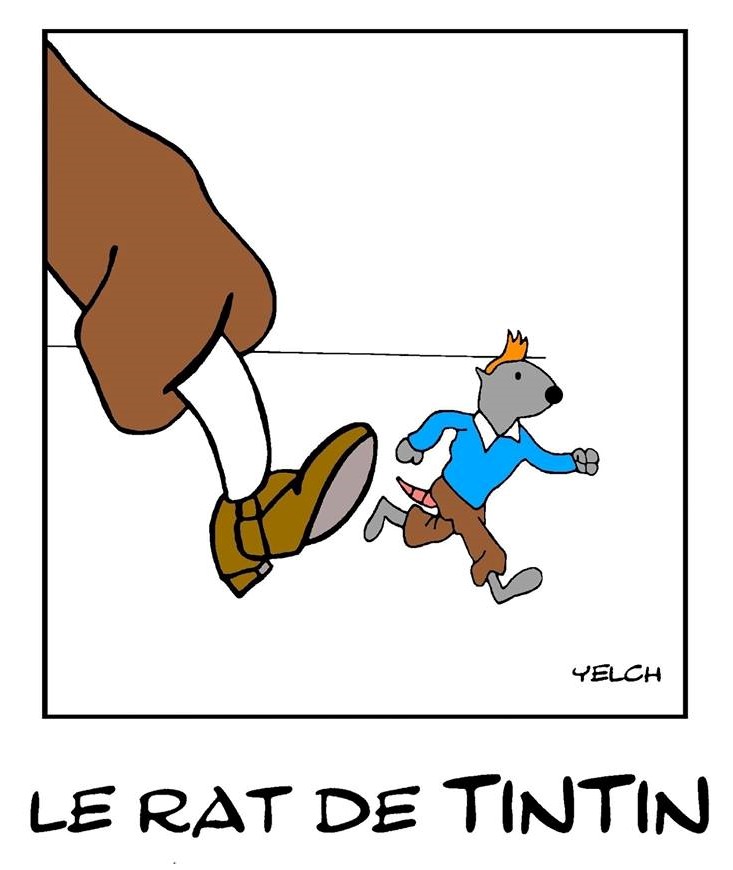 dessin de Yelch sur Tintin et les aventures de Tintin