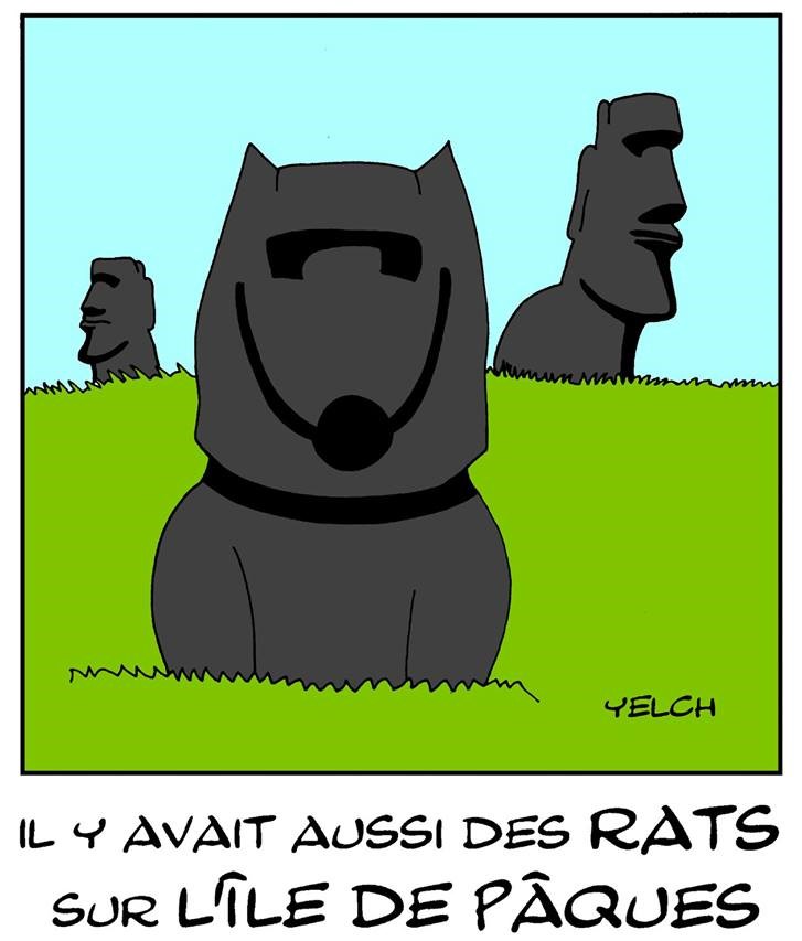 dessin de Yelch sur les rats de l’île de Pâques