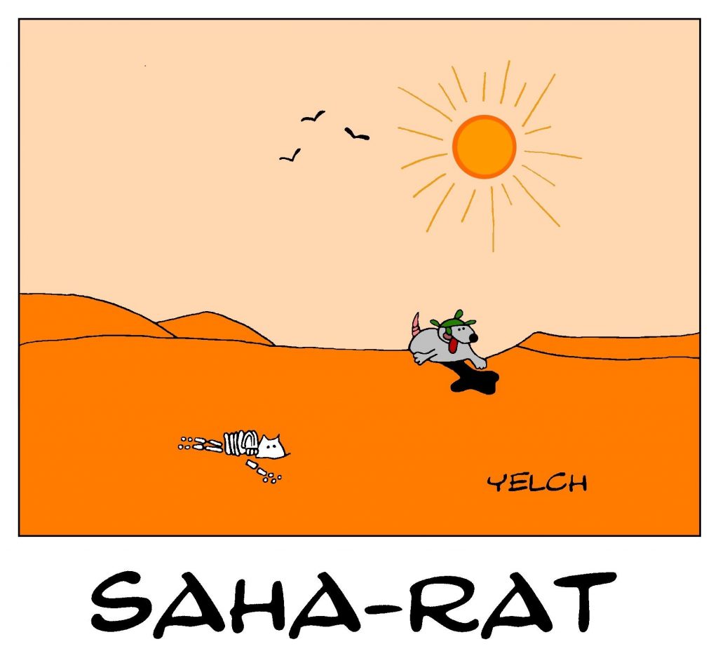 dessin de Yelch sur le désert du Sahara