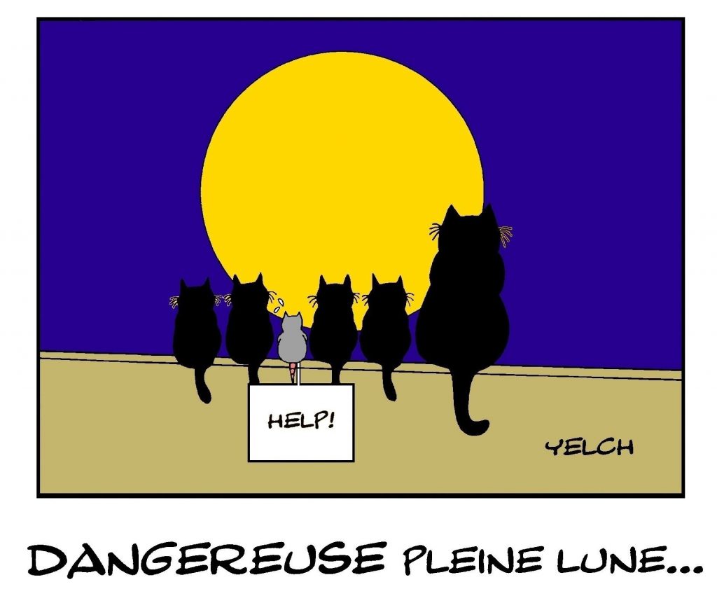 dessin de Yelch sur la dangerosité de la pleine lune et les chats