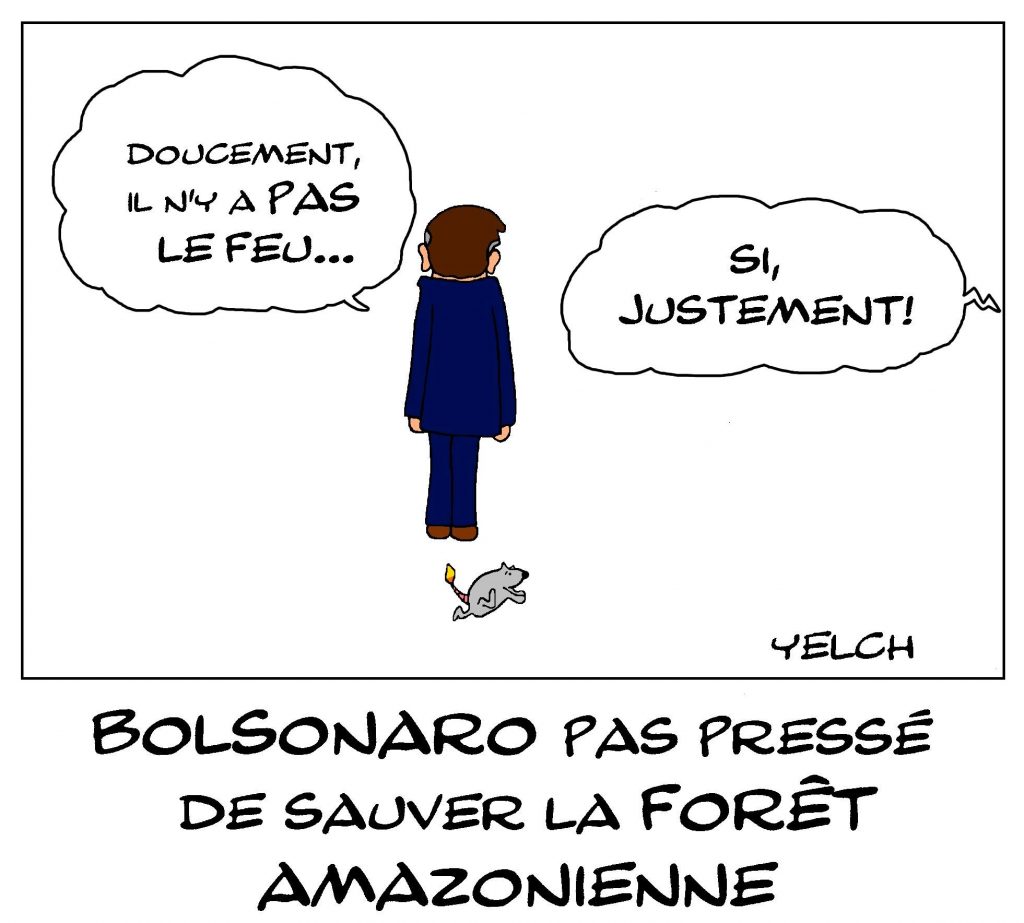 dessin de Yelch sur les incendies qui ravagent la forêt amazonienne et Jair Bolsonaro