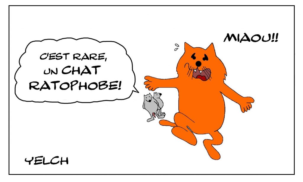 dessin de Yelch sur la musophobie et les chats