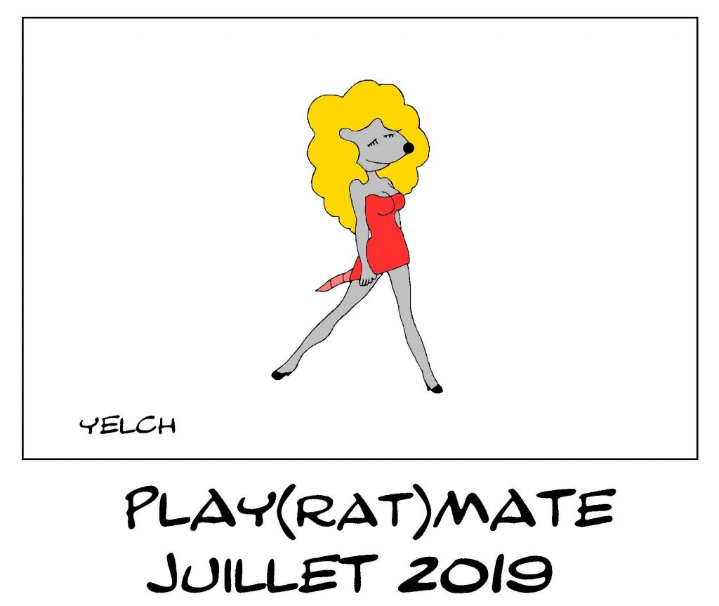 dessin de Yelch sur la playmate du mois