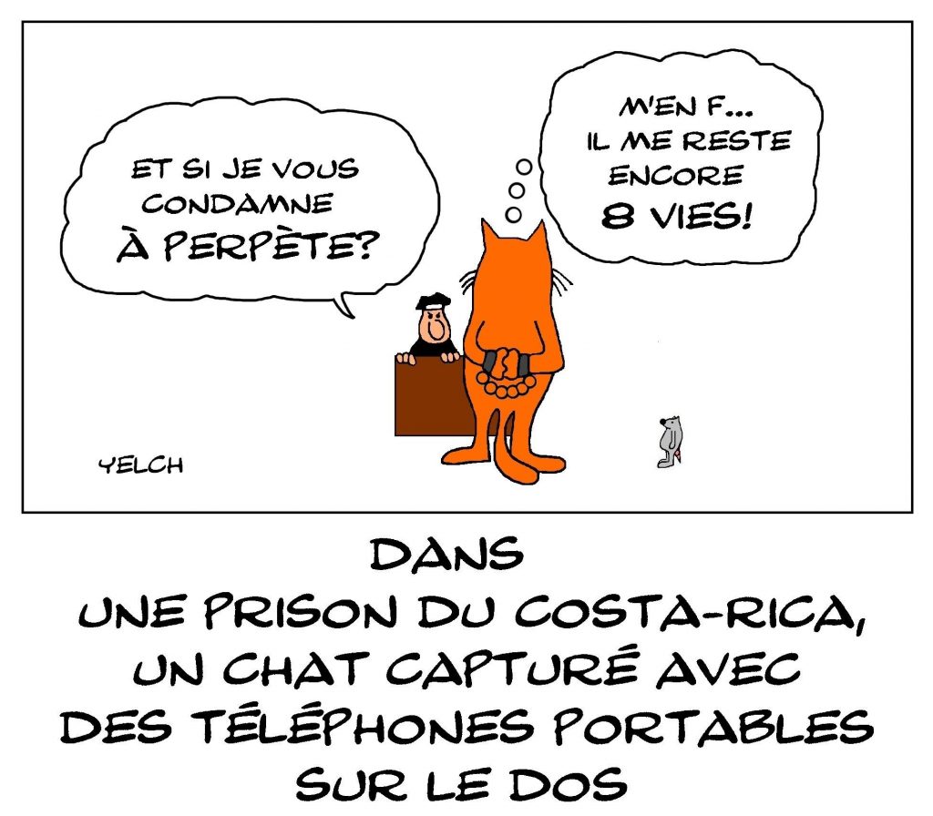 dessin de Yelch sur le chat passeur de téléphones portables dans une prison au Costa Rica