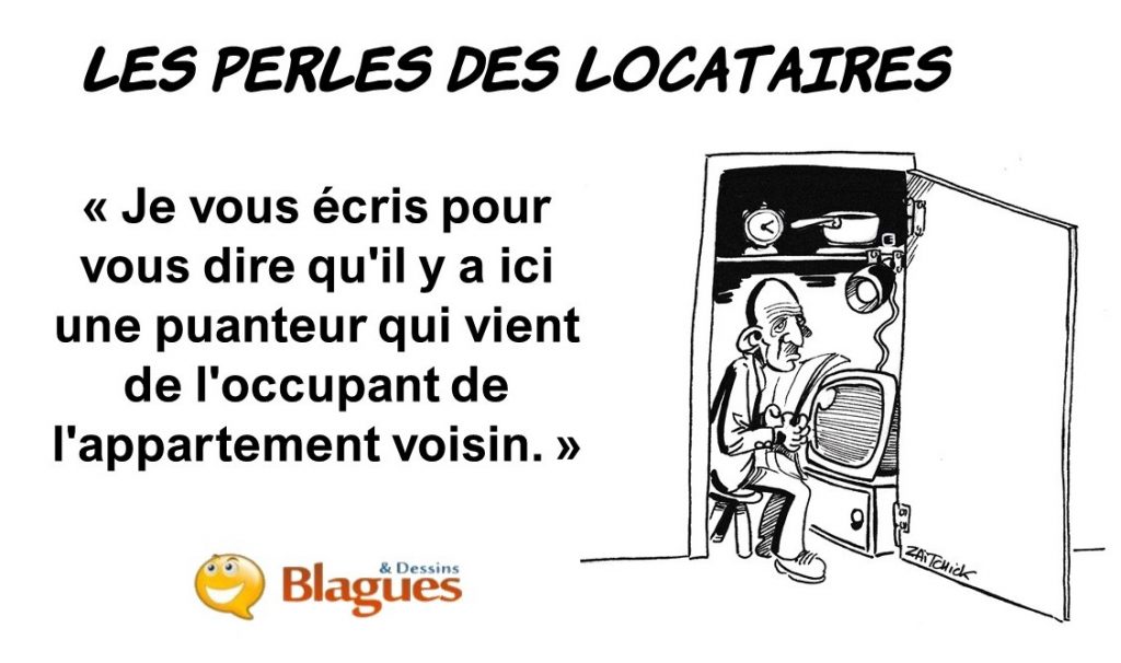 les perle des locataires