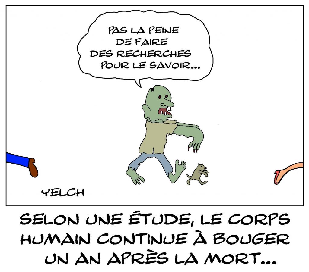 dessin de Yelch sur les recherches australiennes montrant que le corps humain continue à bouger un an après la mort