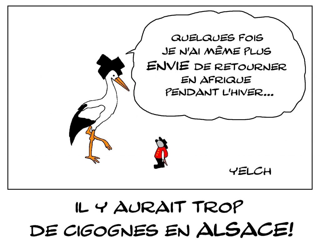 dessin de Yelch sur la population des cigognes en Alsace